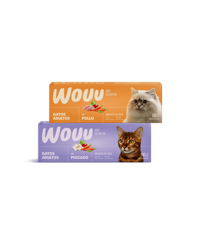 Pack Inicio Gatos