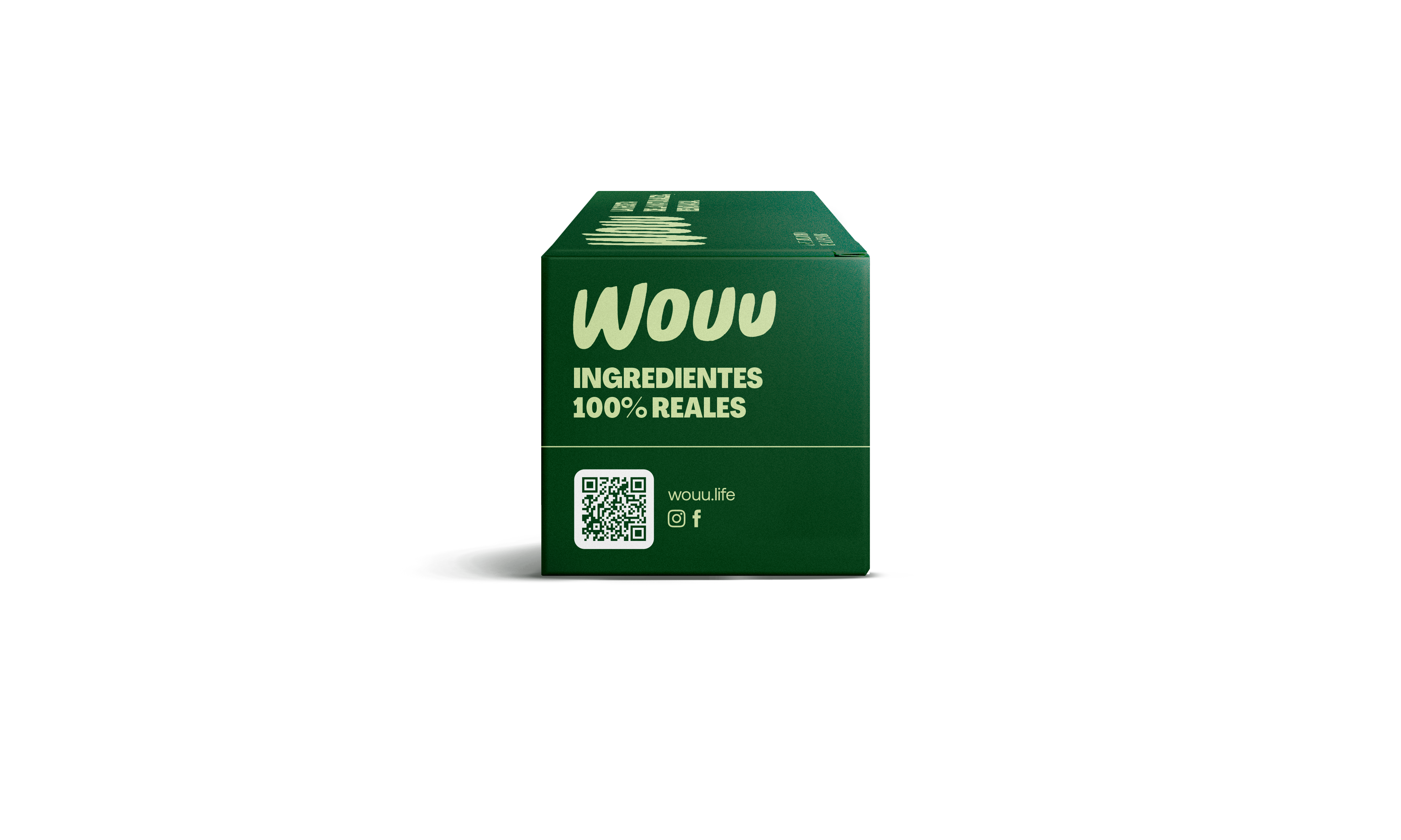 Wouu Perros Adultos con Carne