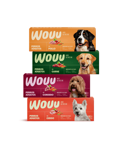 Pack Inicio Perro